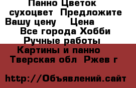 Панно Цветок - сухоцвет. Предложите Вашу цену! › Цена ­ 4 000 - Все города Хобби. Ручные работы » Картины и панно   . Тверская обл.,Ржев г.